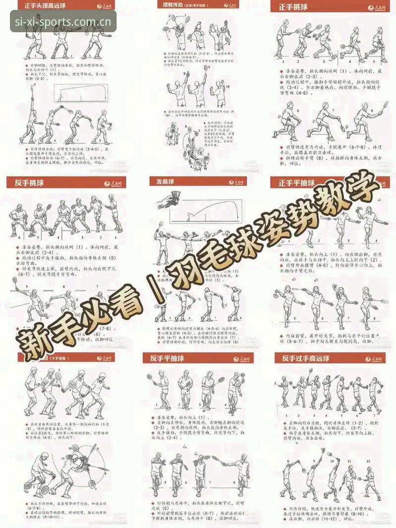 四喜体育使用教程使用技巧详解：从入门到精通的创新指南